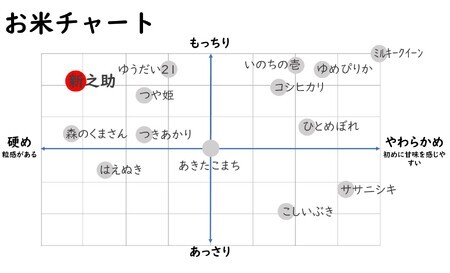 【令和7年産米】新之助 無洗米 6kg（2kg×3袋） ヤタらうんめぇお米 新潟県産 小分け しんのすけ 水田環境鑑定士在籍[Y0177]