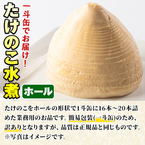 【ふるなび限定】＜訳あり・業務用＞数量限定！1斗缶たけのこ水煮ホール2L(16本～20本) 国産 九州産 鹿児島県産 筍 竹の子 水煮 簡易包装 酢豚 筑前煮 若竹煮 天ぷら チンジャオロース たけのこご飯 きんぴら【上野食品】akn008-21 FN-Limited-SP