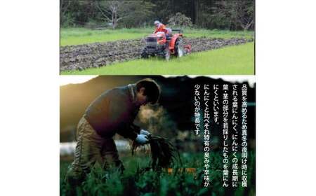 《3ヶ月定期便》芸西村厳選1本釣り本わら焼き「芸西村本気シリーズ〈極〉カツオのたたき（6～7人前）あの有名番組で紹介された有機無添加土佐にんにくぬた・タレ付き」数量限定〈高知市・土佐市共通返礼品〉
