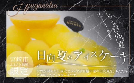 江森宏之 シェフ作 宮崎県産 フルーツ アイスケーキ 4回定期便 国産 定期便 4回 アイス ケーキ フルーツ きんかん マンゴー 日向夏 いちご クリスマス お祝い 記念日 誕生日 誕生日ケーキ 冷凍ケーキ 冷凍 グルメ デザート スイーツ お取り寄せ ギフト