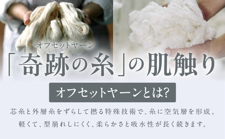 SUTEKI バスタオル グレー 2枚