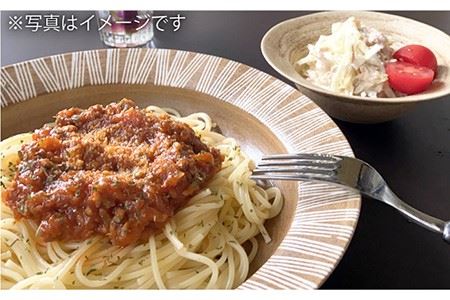 【波佐見焼】Shabby chic style ボウル 大2個セット senダーク パスタ皿 食器 皿 【和山】 [WB111]  波佐見焼
