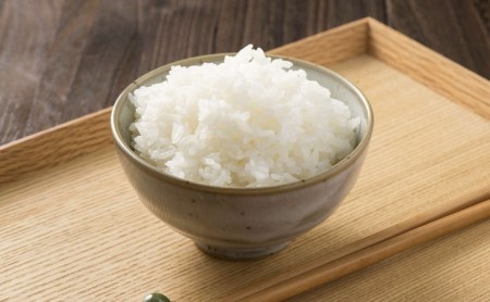 【令和7年産】茨城県産コシヒカリ10kg（5kg×2袋）精米JA茨城むつみ _CL05 ※2025年10月下旬頃より順次発送予定