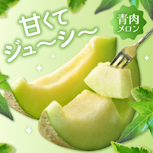 【2026年8月上旬発送】津軽産 青肉 メロン 約5kg ( 3~6玉 ) ご家庭用 品種おまかせ 【青森メロン】