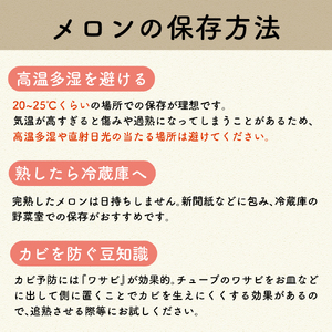【7月後半発送】 メロン (赤肉・青肉セット) 約8kg 青森県産 メロン