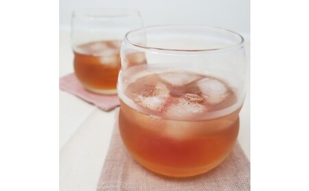 【数量限定】梅のお酒 500ml×2本セット 洋酒 リキュール 