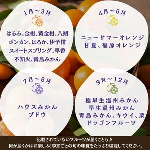 【全3回】旬の柑橘セット 3か月間の定期便　【 柑橘 】