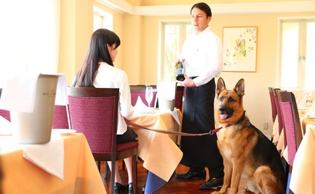 【ふるさと納税　南仏プロヴァンス料理のペアディナー】軽井沢 ディナーコース お食事券 チケット コース ディナー ペア券 招待券 フレンチ レストラン フルコース 飲食 お食事券 犬 ペット