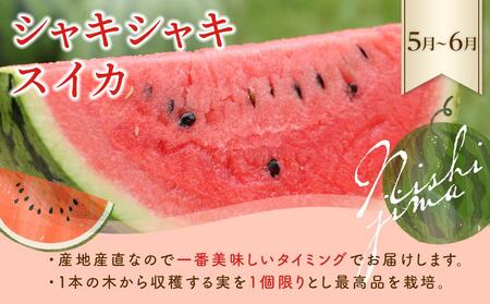 【年5回 フルーツ定期便】季節のフルーツセット【いちご スイカ マンゴー メロン】