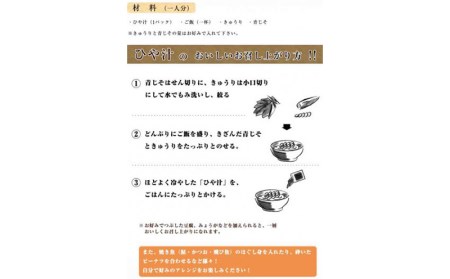 宮崎観光ホテル 冷汁 16パック 詰め合わせ 冷や汁 ひやじる ひや汁 白身魚 味噌 ダシ汁 郷土料理 常温 手軽 本格的 ご飯 グルメ 名物 名産品 ギフト お取り寄せ