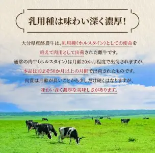大分県産　酪農牛　ロース・肩ロース切り落とし　約1.0kg A01112
