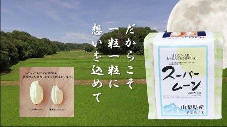 食旨たまごかけごはんDセット [h081]
