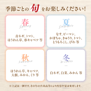 大師の里のとれたて旬の野菜と果物の詰め合わせ 人気 野菜 詰合せ 詰め合わせ セット 新鮮野菜 詰め合わせセット 野菜セット 季節の野菜 ほうれん草 かぼちゃ 白菜 トマト キャベツ 三重県 多気町 FY-02