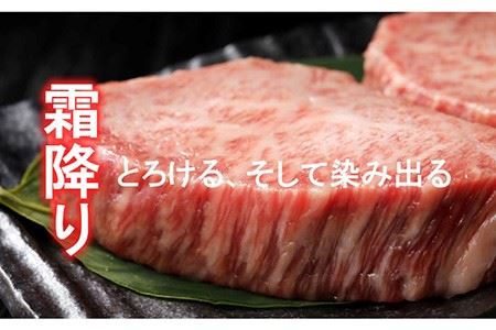 【計5回】ステーキで豪華に彩る佐賀牛バリエーションステーキ定期便 [FAZ040]