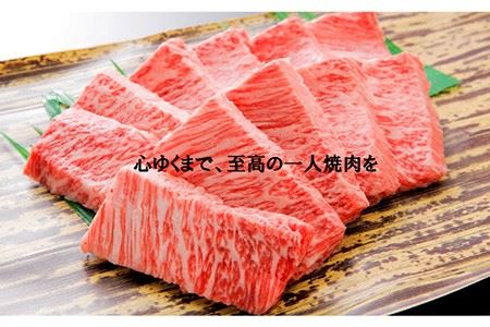 【計8回】お一人様向け 佐賀牛の異なる部位で焼肉を楽しむ！1か月に1回届く定期便 [FAZ044]