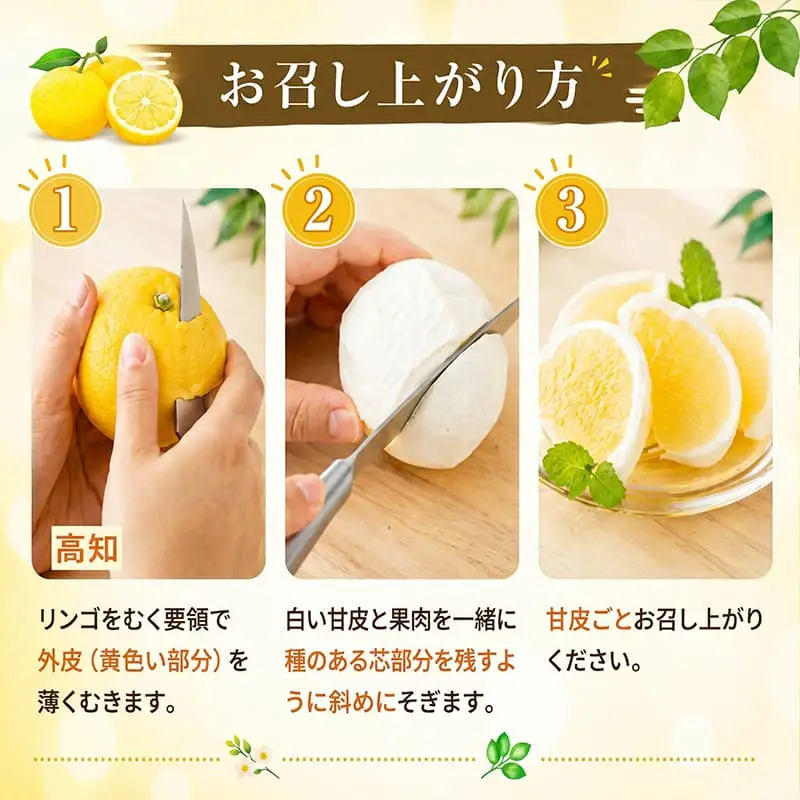 訳あり小夏 (果物) 2.5kg【小夏】