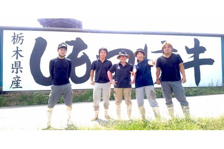 数量限定「下野牛」牛小間切600g（300gｘ2）F7Z-139