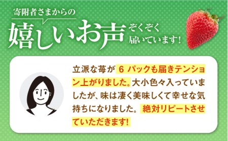 【先行予約】【2027年1月以降発送】いちごさん 900g / いちご [IAA022]