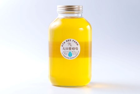 北海道産 天然 純粋 はちみつ アカシア 2.4kg