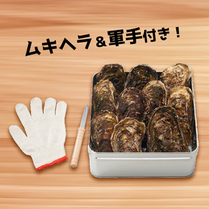 殻付き牡蠣 10個 カンカン焼きセット 加熱用 殻付き牡蠣 缶 ムキヘラ 軍手 加工食品 冷凍 鍋 かき 牡蠣 カキ  オイスター oyster アヒージョ バーベキュー BBQ フライ 揚げ物 ごはん 夕飯 おかず おつまみ 晩酌 米 丼 海産物 海鮮 魚介 魚介類 贈答品 お中元 大船渡 三陸 岩手県 国産 牡蠣 牡蠣 牡蠣 牡蠣 牡蠣 牡蠣 牡蠣 牡蠣