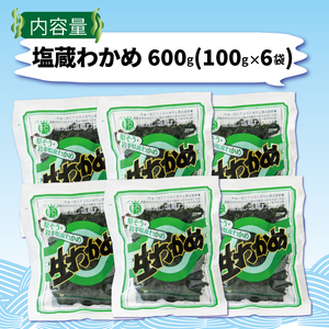 塩蔵わかめ 600g (100g×6袋)  ギフト 贈答 小分け みそ汁 スープ 酢の物 わかめ ワカメ 若芽 湯通しわかめ 海藻 海産物 三陸 国産 岩手県 国産 味噌汁 ごはん 夕飯 おかず サラダ お刺身 刺し身 刺身 大船渡 三陸 岩手県 国産