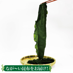 塩蔵こんぶ1.6kg 200g×8袋 昆布 こんぶ 昆布 コンブ 出汁 ダシ 和食 煮物 おでん 海藻 海産物 三陸 国産 岩手県 国産 味噌汁 ごはん 夕飯 おかず サラダ 大船渡 三陸 岩手県 国産