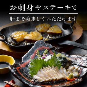 蝦夷あわび 約600g 冷凍 鮑 あわび アワビ 鮑 Abalone ステーキ 刺し身 刺身 バーベキュー  バターソテー 正月 お正月 おせち  BBQ ごはん 夕飯 おかず おつまみ 晩酌 米 丼 海産物 海鮮 魚介 魚介類 贈答品 お中元 お歳暮 大船渡 三陸 岩手県 国産