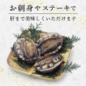 蝦夷あわび 約1kg 冷凍 鮑 あわび アワビ 鮑 Abalone ステーキ  バターソテー 正月 お正月 おせち 刺し身 刺身 バーベキュー BBQ ごはん 夕飯 おかず おつまみ 晩酌 米 丼 海産物 海鮮 魚介 魚介類 贈答品 お中元 お歳暮 大船渡 三陸 岩手県 国産