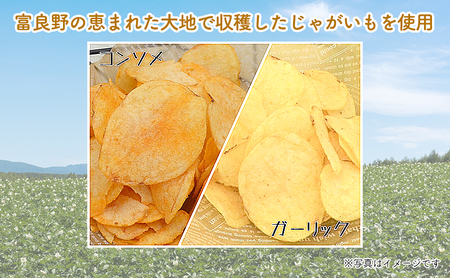 【2ヵ月に1回お届け】JAふらのポテトチップス【ふらのっち】2種類(各12袋)×4回 ふらの農業協同組合(南富良野町) 芋 菓子 スナック じゃがいも お菓子 ポテチ 定期便 詰合せ コンソメ うすしお のり塩 ガーリック 