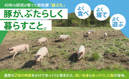 北海道十勝の放牧豚”遊ぶた”角切り1.2kgカレー・シチュー用セット お肉 豚肉 モモ 