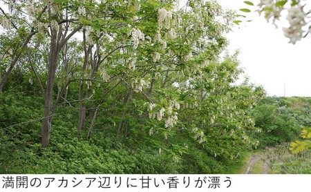 【国産純粋蜂蜜】北海道産 アカシア蜂蜜 1kg パック入り［ナルセ養蜂場］【 はちみつ ハチミツ 蜂蜜 ハニー 無添加 天然 健康 美容 料理 無添加 純粋 希少 大容量 ギフト プレゼント 自宅用 家庭用 北海道 十勝 幕別 】