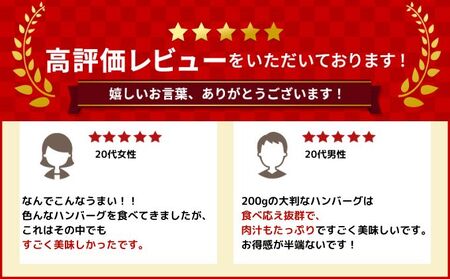北海道 十勝牛 手ごねハンバーグ 200g×22個【 セット 牛100% 国産牛 牛肉 ハンバーグ 惣菜 小分け 冷凍 牛肉100% 大きい 国産 北海道 十勝 幕別 ふるさと納税 送料無料 】 
