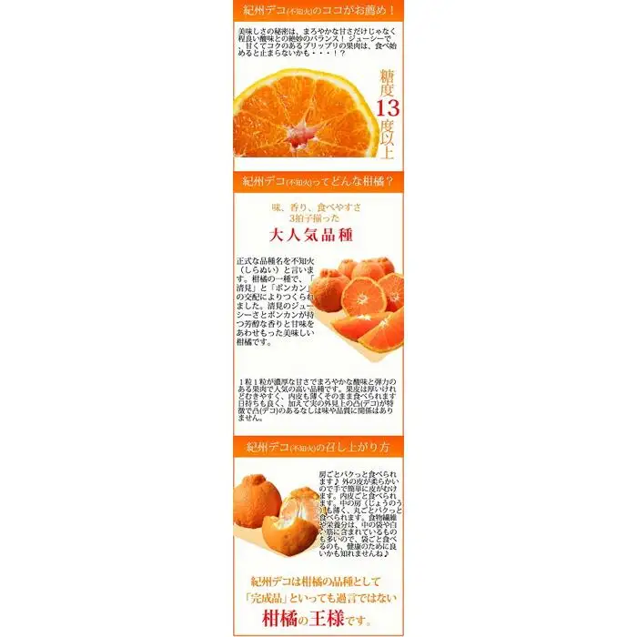 完熟紀州デコ(不知火) 約3kg　果肉プリプリ♪［2027年2月下旬以降発送］［先行予約］［UT42］