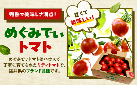 めぐみでぃトマト100%ジュース　500ml×3本　若狭の恵 小浜市 / 若狭の恵 [BFAG002]