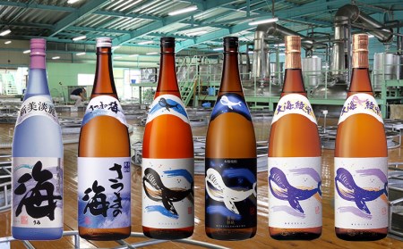 F6-2537／大海酒造くじらシリーズ　1800ml　6本セット