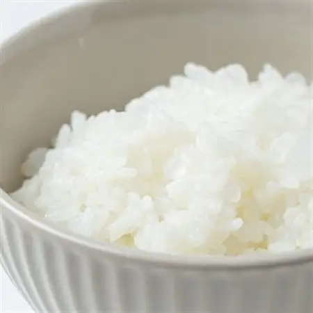 【ライスコンニャク】24袋セット 低カロリーでお米のような食感、ヘルシー志向・ダイエットの心強い味方_惣菜・加工品   _【1249197】