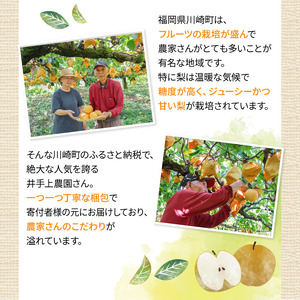 梨 5kg 新高 | 梨 IDG