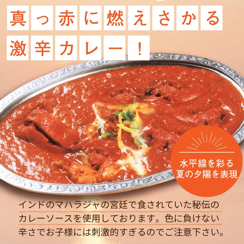 クリシュナ 春夏秋冬オホーツクカリー 各2食セット 手焼きナン付 ( 食品 加工品 惣菜 カレー ナン セット 五つ星ホテル オホーツク海 オホーツクカレー )【127-0019】