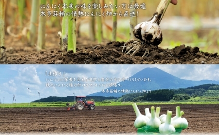 【オーガニック】有機にんにく無選別 700g（ニンニク オーガニック 無農薬 有機野菜）