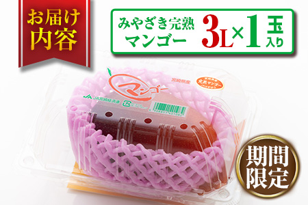 みやざき 完熟マンゴー 3L × 1玉 期間限定 数量限定 マンゴー 宮崎 フルーツ 果物 くだもの 国産 食品 先行予約 2026 令和8年発送 濃厚 デザート おやつ おすすめ 冷蔵 ご褒美 贅沢 おすそわけ ギフト 贈り物 贈答 日南市 送料無料_BB145-24