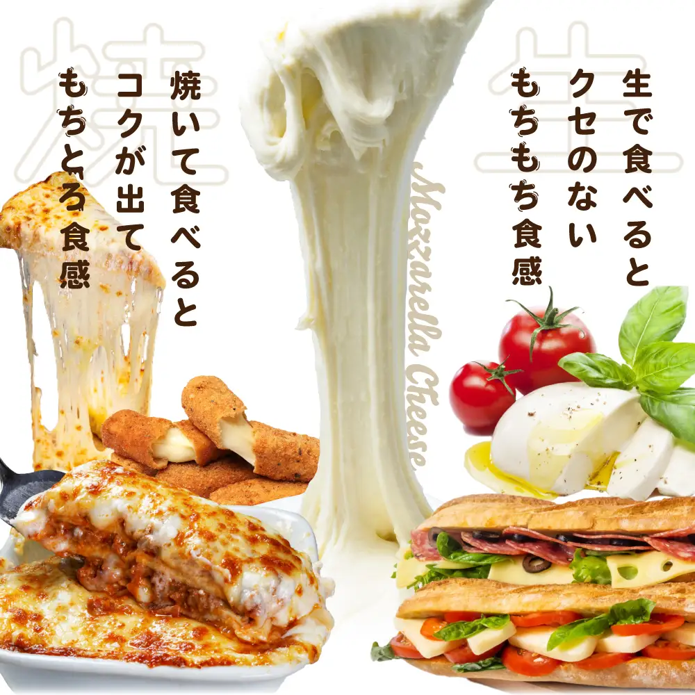 【【森永乳業】モッツァレラチーズ 計６００ｇ (１００ｇ×６個セット) クラフト フレッシュモッツァレラ チーズ 乳製品 北海道 別海町