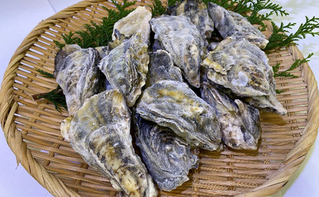 牡蠣 ぷりぷり濃厚！ 播磨灘の冷凍牡蠣 セット 加熱用 殻付かき 12個 むき身かき 50粒前後 魚介 魚介類 海鮮 貝類 生牡蠣 かき 海の幸 