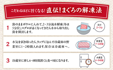 【 定期便 】 特選 寿司 用 南まぐろ 1本 頭付き （ 1～12回 配送 ） M005-T08 冷凍 マグロ 定期
