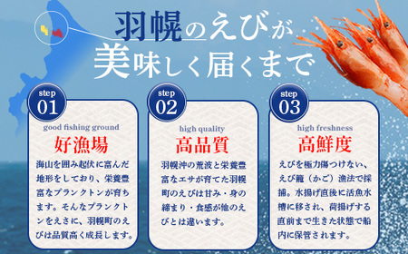北海道羽幌産 冷凍むき甘えび 1kg（500g×2パック）【0311601】
