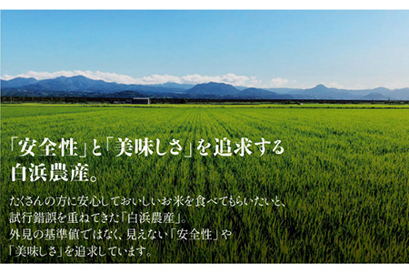 【令和5年産】こだわりのにこまる 10kg（玄米） / お米 [IBL011]