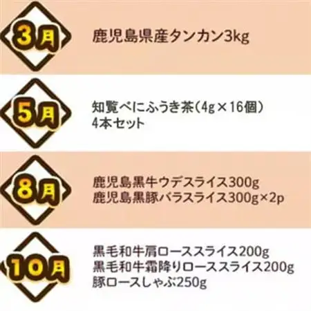 【発送月固定定期便】南九州トクトク定期便ライト全4回【配送不可地域：離島】【4014686】