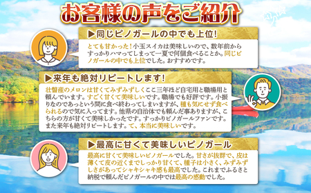＜2026年8月上旬より順次お届け＞北海道壮瞥産 小玉すいか（赤肉・ピノガール）2玉 約3kg スイカ SBTN004