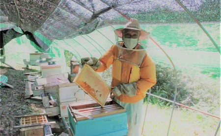 【新登場！】～京都府南山城村産～中下おじちゃんの愛情詰まった天然ハチミツ200g(非加熱） 蜂蜜 はちみつ 無添加 