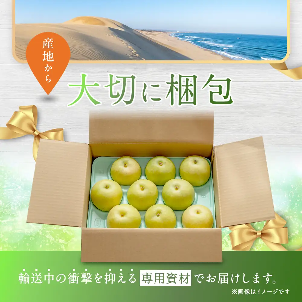 二十世紀梨 訳あり 3キロ（砂丘のなし屋さん）