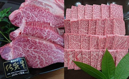 【定期便6回】老舗 織田精肉店の佐賀牛 定期便 偶数月発送 全6回 _f-35
